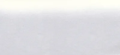 16601 白