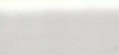 16602 本白
