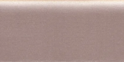 16608 褐金