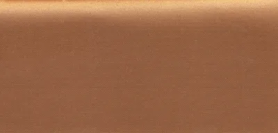 16618 柑