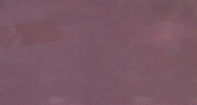 16652 深紫紅 布樣實拍